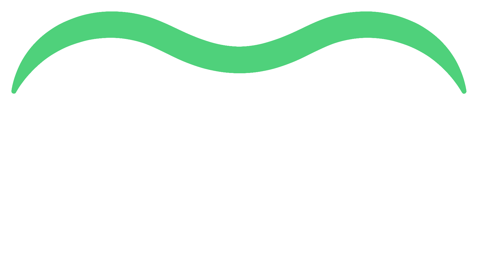 SalvitaIT Logo